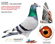 ĸHZ?sh)ȡ? ></a><br>               
                <a  target=