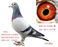 ˫ 580