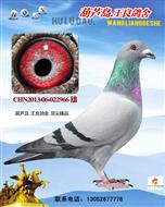 凡龍X金母727（已售）