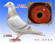 ������֮ĸ