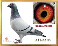 13ꖾ㘷5
