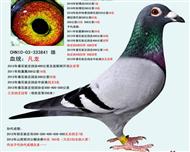 ӴFѪ841