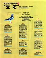 游