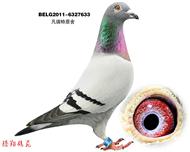 ķ633