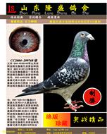 �ɱȶԿ��ھ�123ֱ��