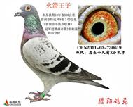 游