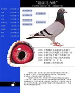 游