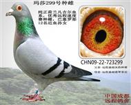 母親“凡吉爾瑪莎29