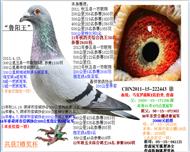 游³