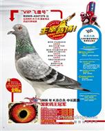 游游