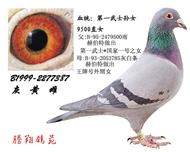 ĸH