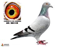 ͬĸ