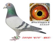 �ձ�����������ϵ��ħ��ϵ��