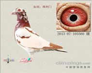 ��300�����܊��֮�ӣ����ۣ�