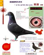 ���᠖����ϵ