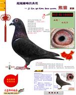 ���᠖����ϵ