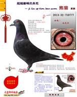 ���᠖����ϵ