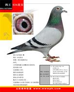  634ֱŮ