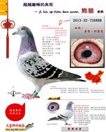 ����.�ƻ���