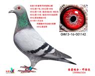 Ѫy(tng)