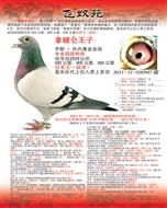 游Ɓ