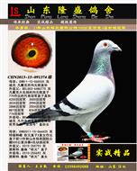 ��������׸�ھ�