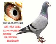 Ĺ޽ܼ峬ָ