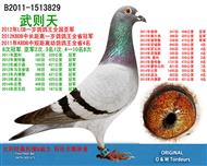 8�ιھ� ������