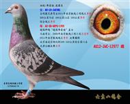 Ѫy(tng)