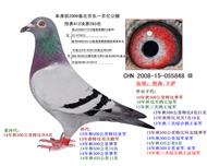 ף055848