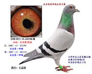 ף222766