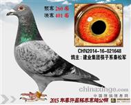 S̩Qِ401