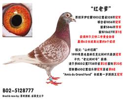 tϵ
