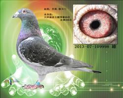 ���M�⹫���A(y��)ِ89��.�Qِ299��