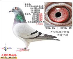 15���彩(ji��ng)������