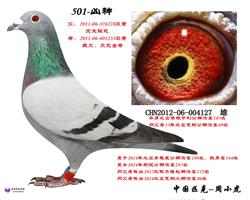 501ֱ*ĸ1235ۣ