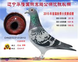 �A¡���F����@����