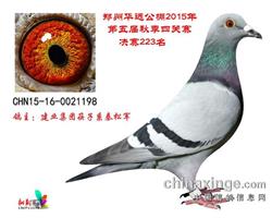 Ah(yun)Qِ223