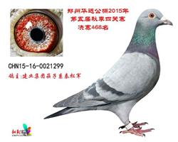 Ah(yun)Qِ468