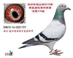Ah(yun)Qِ478
