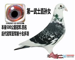 ĸH