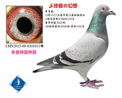 �ռ�����