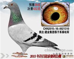 S̩Qِ432