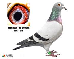 母親