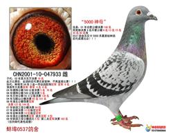 ĸ 5000ĸ