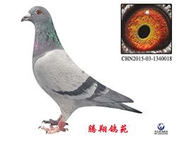 Сʿ