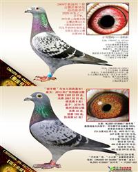 Ѫy(tng)