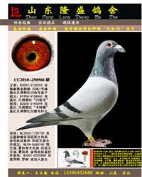 ����1��ֱ��