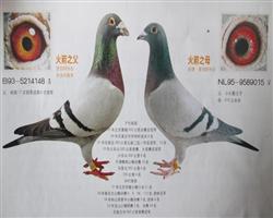 S䌦