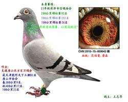(yu)Nِ